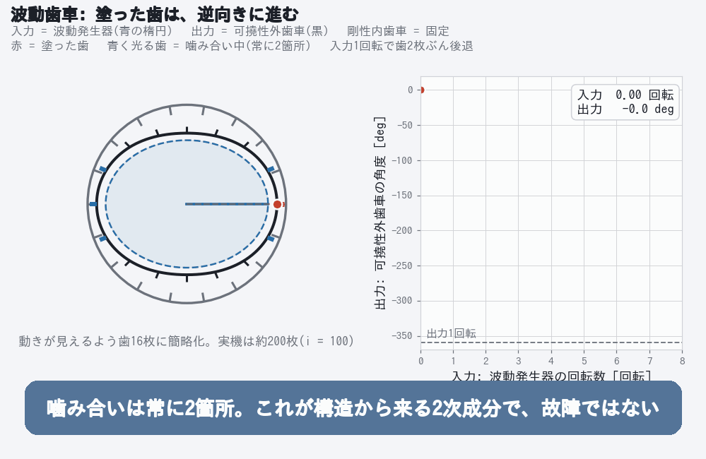 波動歯車装置の動作アニメーション